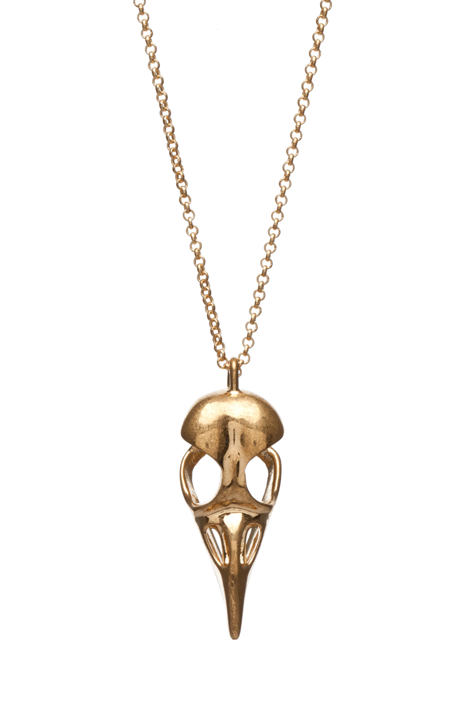 小鸟头骨吊坠项链