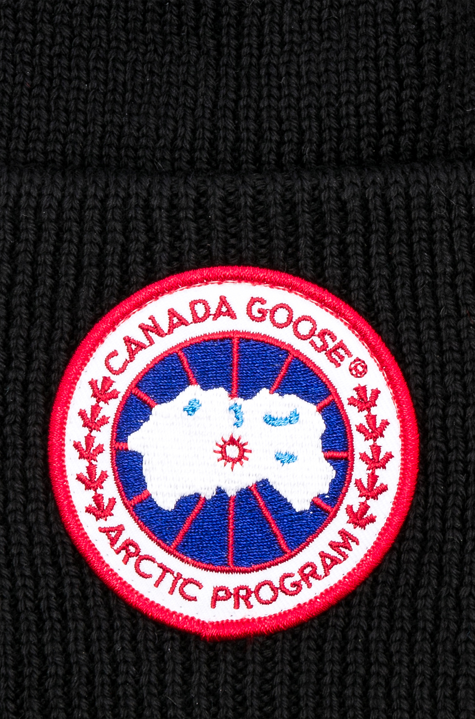 canada goose