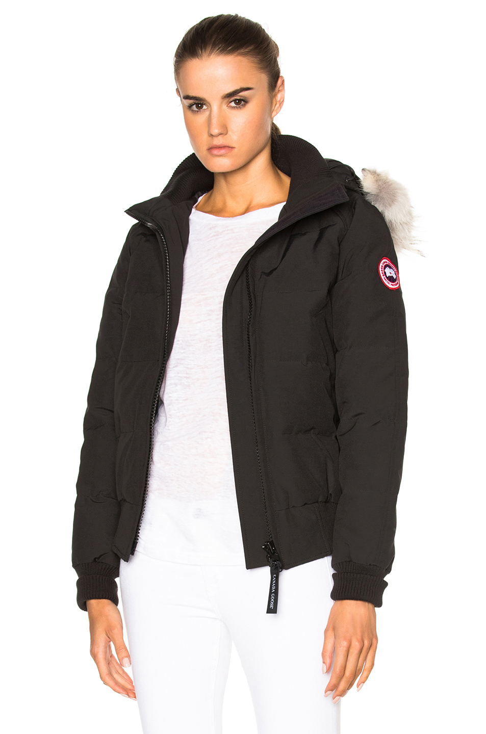 canada goose