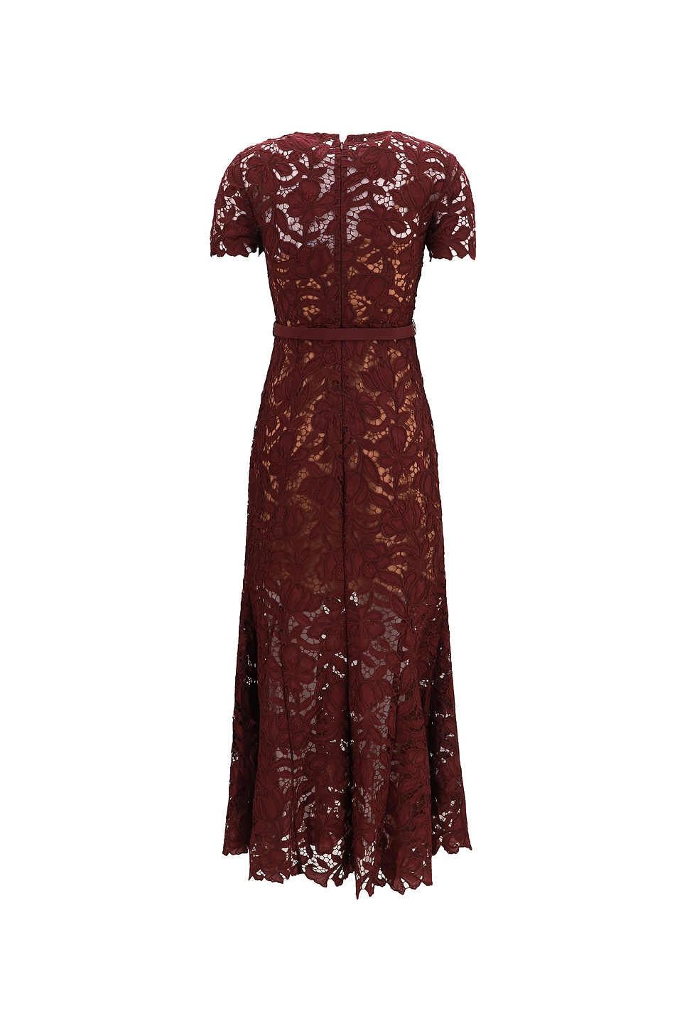 Midi Lace Waisted Dress